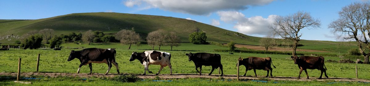 Wootton Parish Council